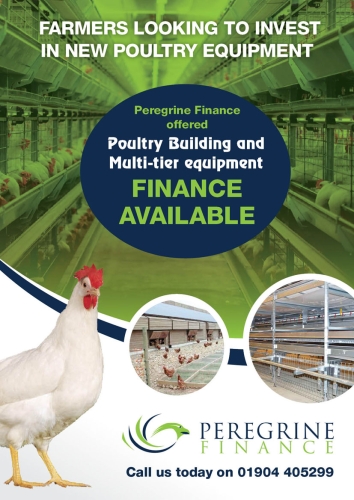 Peregrine Finance2